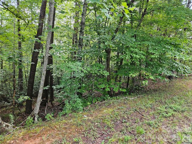 0 Hawks Terrace 313, Lake Lure, NC 28746