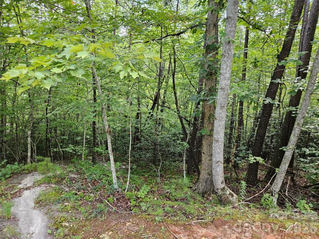 0 Hawks Terrace 313, Lake Lure, NC 28746
