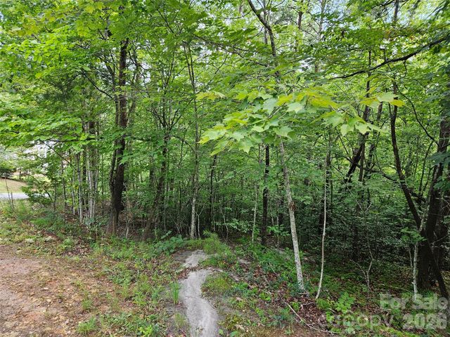 0 Hawks Terrace 313, Lake Lure, NC 28746