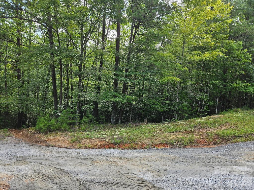 0 Hawks Terrace 313, Lake Lure, NC 28746