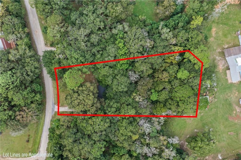 9150 Argyle Estates Road, Irvington, AL 36544 — photo 4