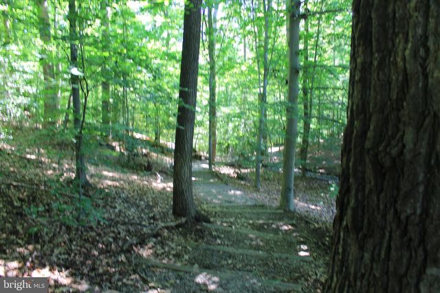 7994 HIDDEN BRIDGE DR, Springfield, VA 22153