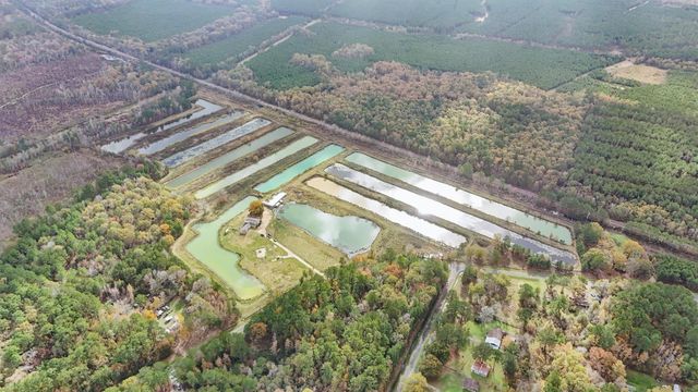 850 County Road 2145, Cleveland, TX 77327