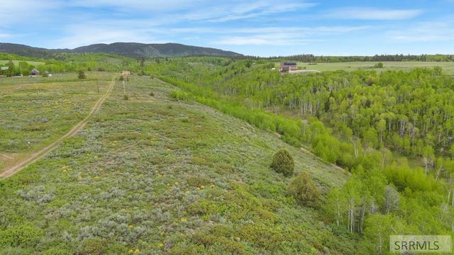 1542 W Rim Loop Road, Ashton, ID 83420