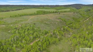 1542 W Rim Loop Road, Ashton, ID 83420