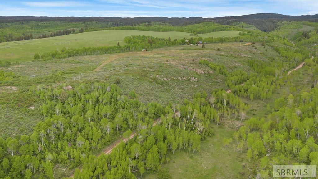 1542 W Rim Loop Road, Ashton, ID 83420