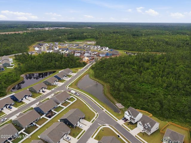 4266 Coralbead Lane Unit 2202, Leland, NC 28451