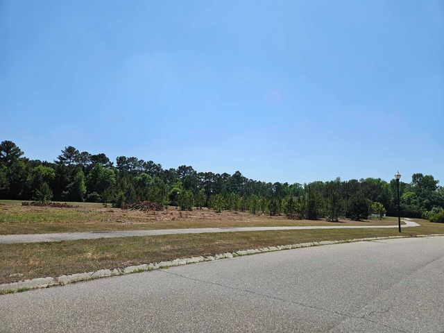 543 Mingo Trail, Johnsonville, SC 29555