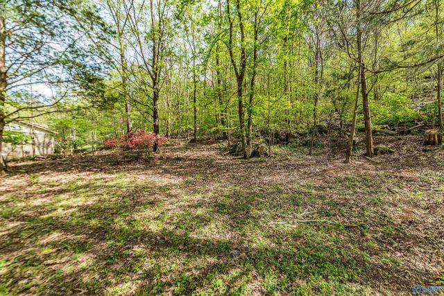 8013 Tea Garden Road, Huntsville, AL 35803