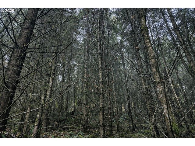 Erickson Rd, Eugene, OR 97402