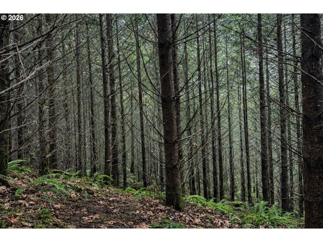 Erickson Rd, Eugene, OR 97402
