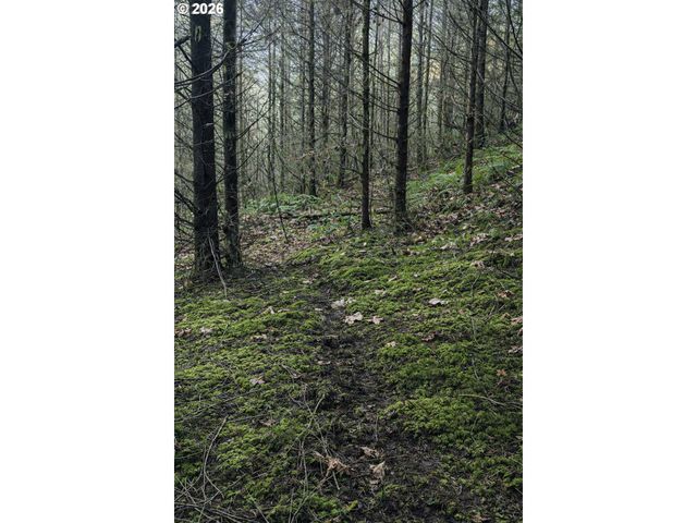 Erickson Rd, Eugene, OR 97402