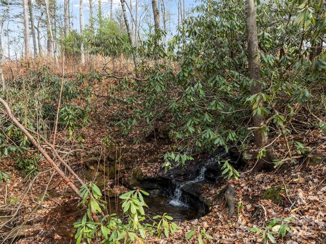 423 Moraine Court 626, Asheville, NC 28803