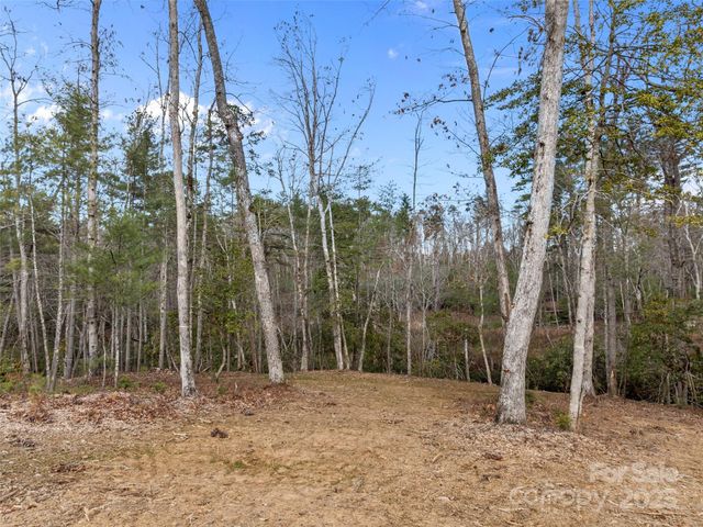 423 Moraine Court 626, Asheville, NC 28803