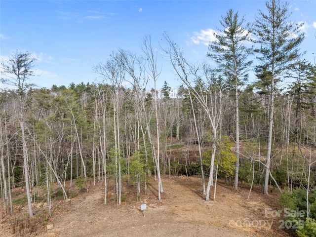 423 Moraine Court 626, Asheville, NC 28803