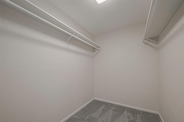 2323 Pine Cone Drive, Houston, TX 77339