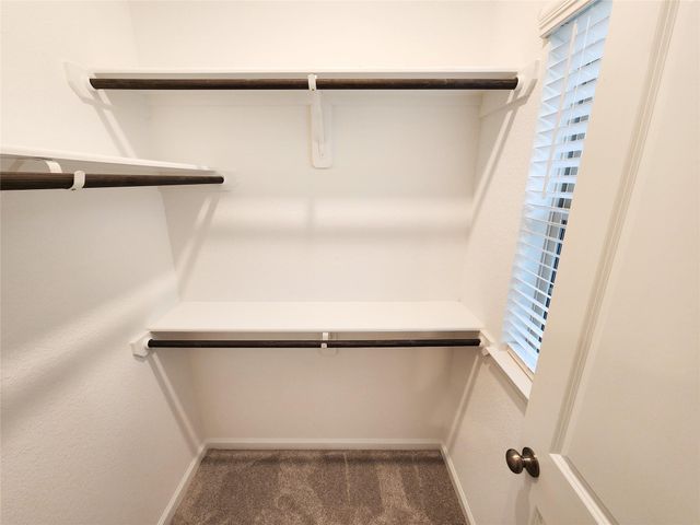 15552 Leopard Lily Lane, Conroe, TX 77302