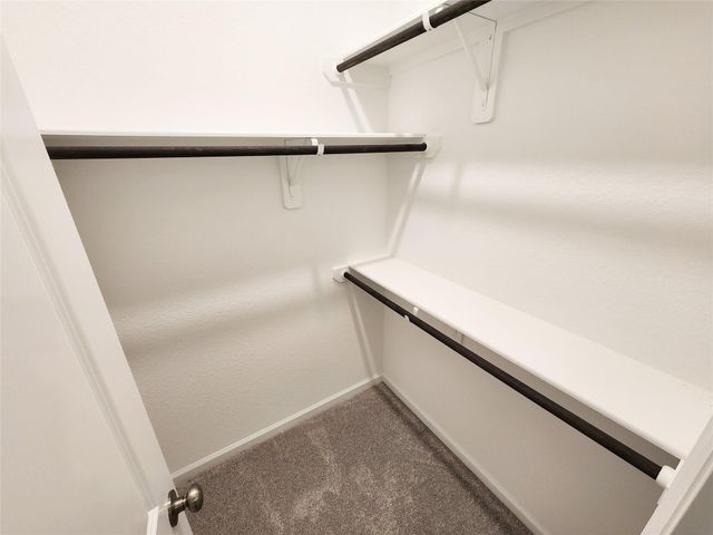 15552 Leopard Lily Lane, Conroe, TX 77302