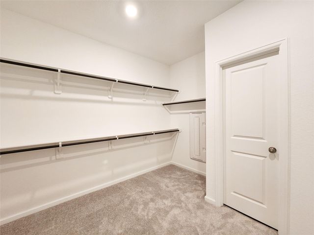 15552 Leopard Lily Lane, Conroe, TX 77302