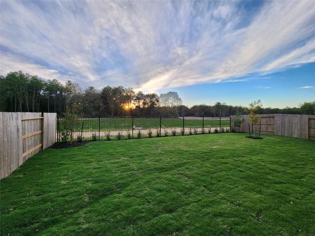 15552 Leopard Lily Lane, Conroe, TX 77302