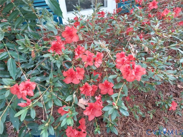 3369 Warner Rd, Richmond, VA 23225