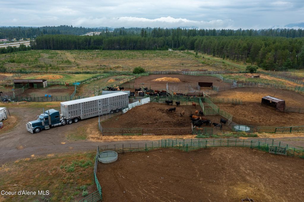 6493 E TRINITY LN, Athol, ID 83801 photo 4