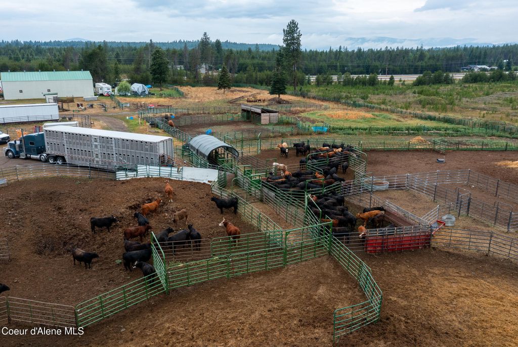 6493 E TRINITY LN, Athol, ID 83801 photo 7