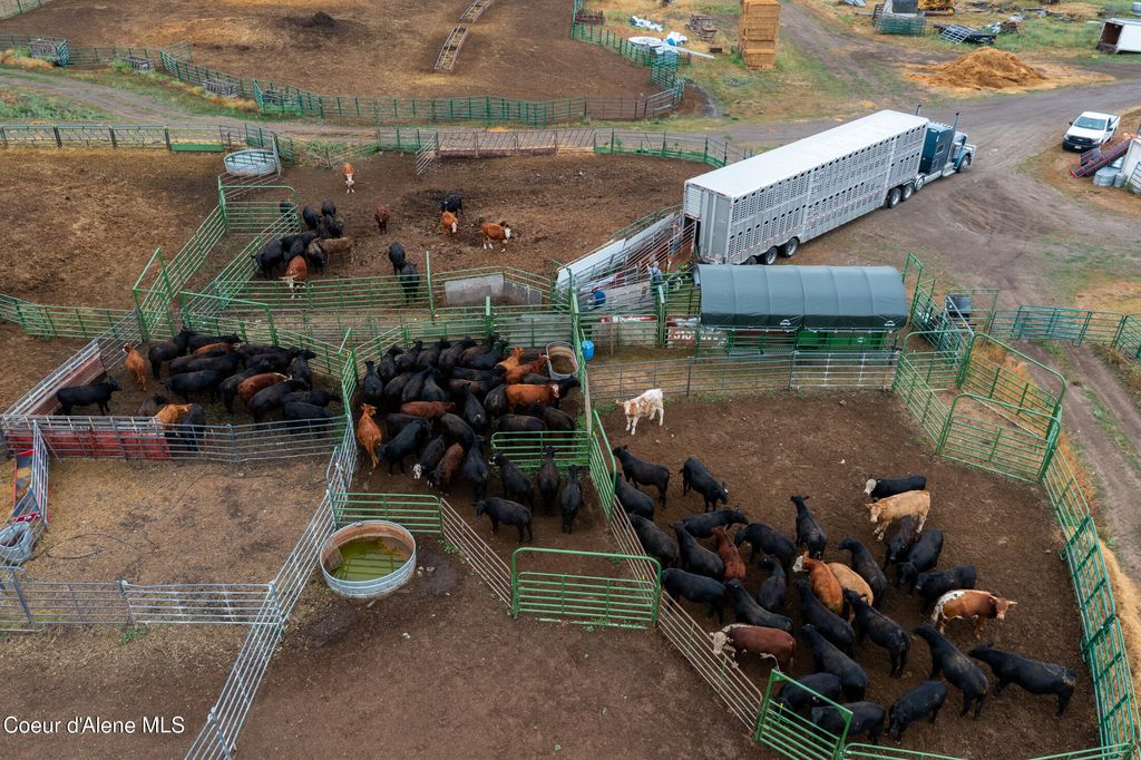 6493 E TRINITY LN, Athol, ID 83801 photo 8