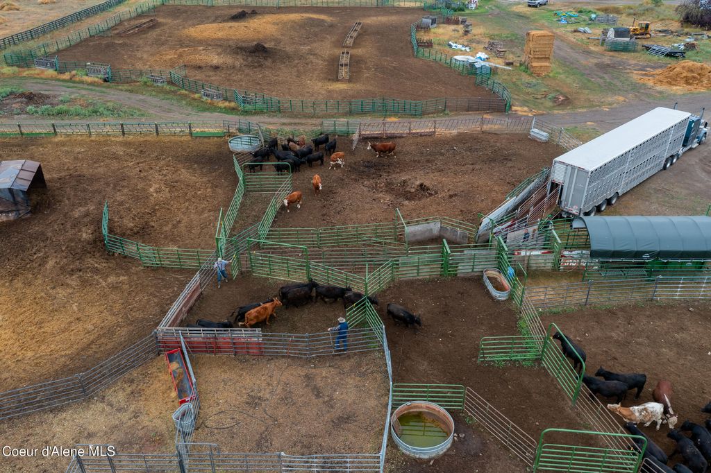 6493 E TRINITY LN, Athol, ID 83801 photo 9