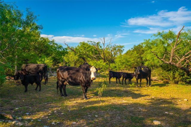 2455 CR 2699, Lometa, TX 76853