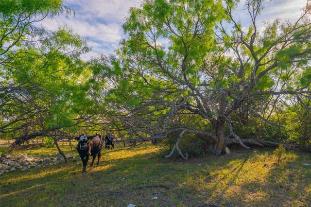 2455 CR 2699, Lometa, TX 76853