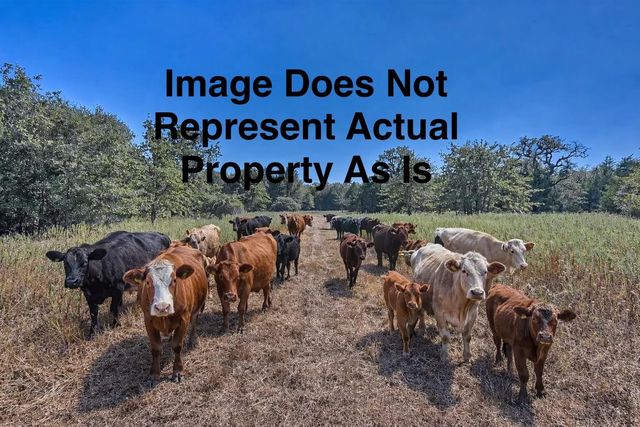 TBD Ullrich Road, Carmine, TX 78932