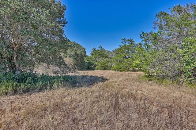 TBD Ullrich Road, Carmine, TX 78932