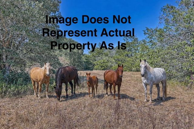 TBD Ullrich Road, Carmine, TX 78932