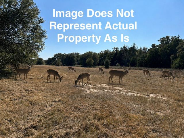 TBD Ullrich Road, Carmine, TX 78932