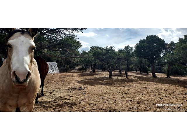 1877 Wilking Rd, Fort Garland, CO 81133