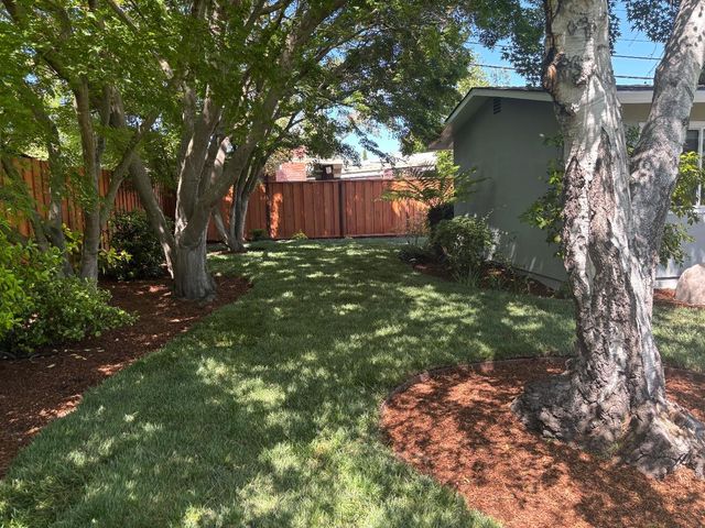 2355 Louis Road, Palo Alto, CA 94303