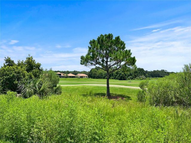 1839 BRENTWOOD COURT, Davenport, FL 33837