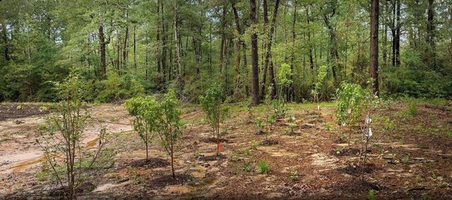 23514 Saratoga Woods Parcel A Drive, Montgomery, TX 77316