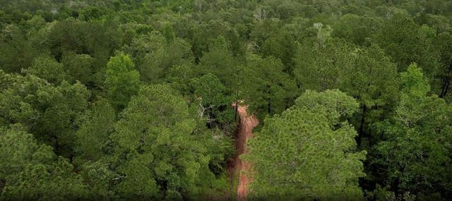 23514 Saratoga Woods Parcel A Drive, Montgomery, TX 77316