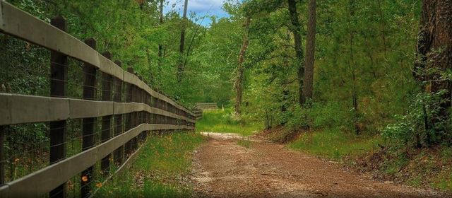 23514 Saratoga Woods Parcel A Drive, Montgomery, TX 77316