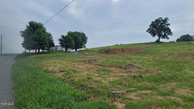 228 Ward Rowe Road, Limestone, TN 37681