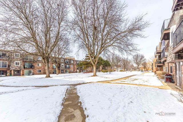 9396 Bay Colony Drive 1S, Des Plaines, IL 60016