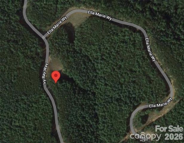 2377 Ivy Rays Way 56, Nebo, NC 28761