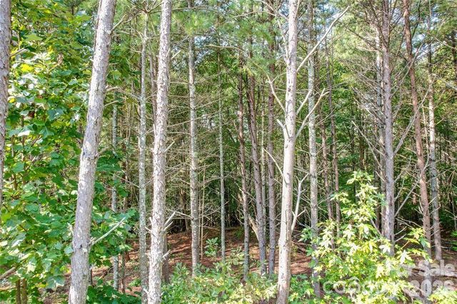 2377 Ivy Rays Way 56, Nebo, NC 28761