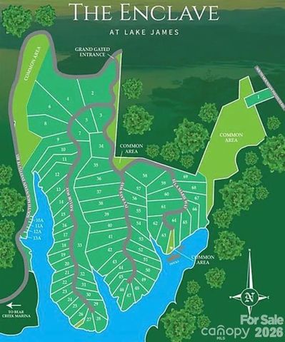 2377 Ivy Rays Way 56, Nebo, NC 28761