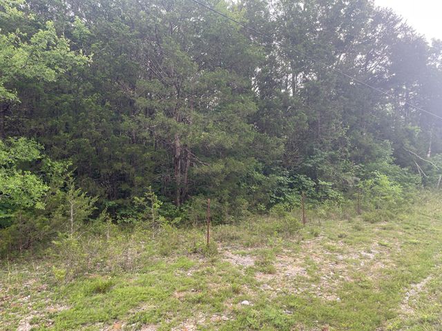 3822 Bivens Hill Rd, Readyville, TN 37149