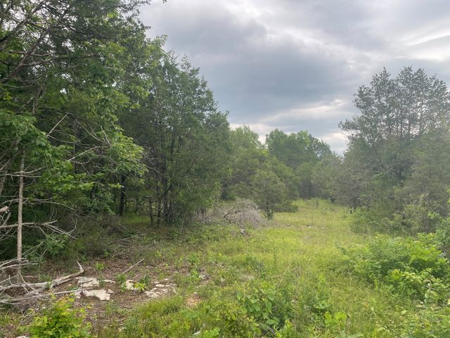 3822 Bivens Hill Rd, Readyville, TN 37149