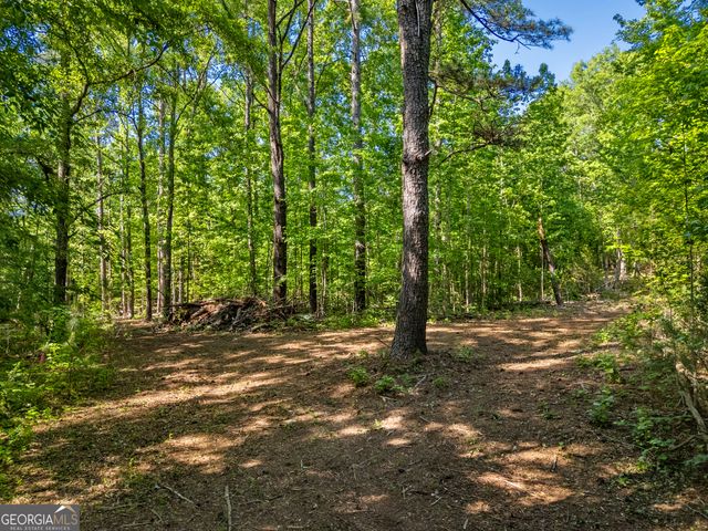 0 Oak Road, Jenkinsburg, GA 30234