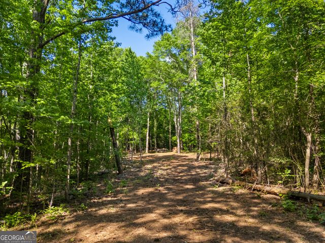 0 Oak Road, Jenkinsburg, GA 30234